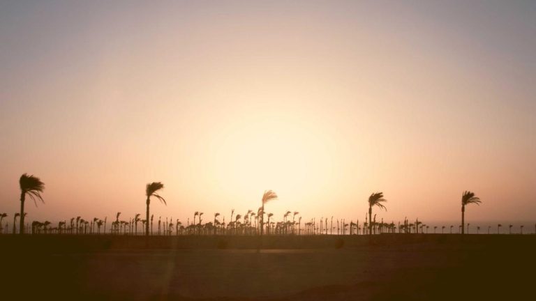 Solo or First Hire? A Nano Business Decision Guide