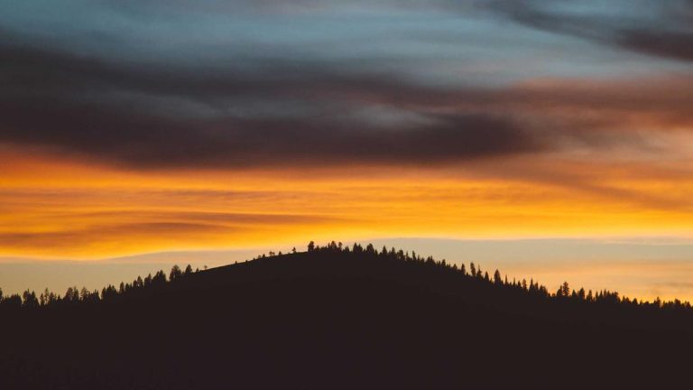 Nano Business Tools: What to Pay For, What to Skip